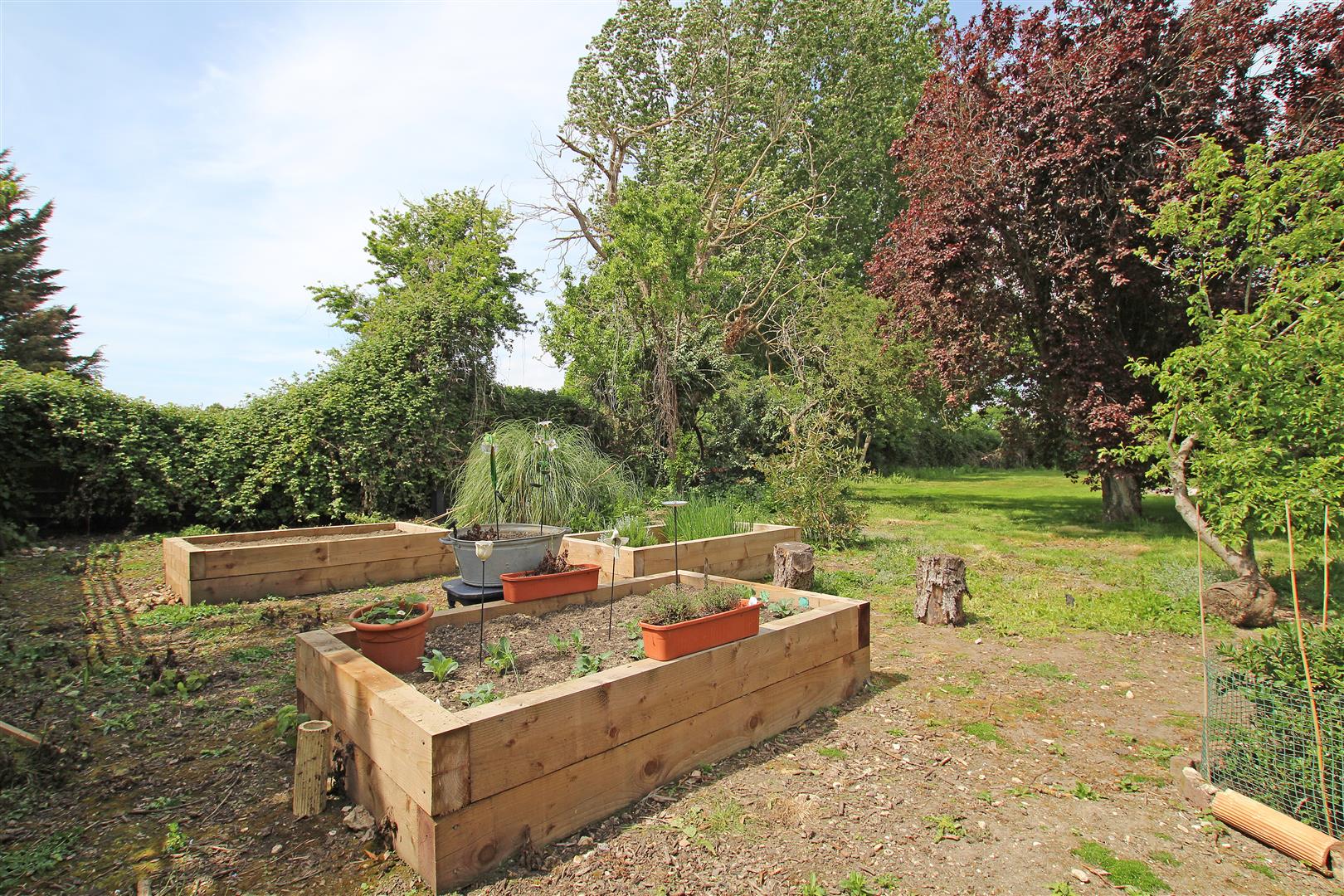 NH - Vegetable garden 4.jpg